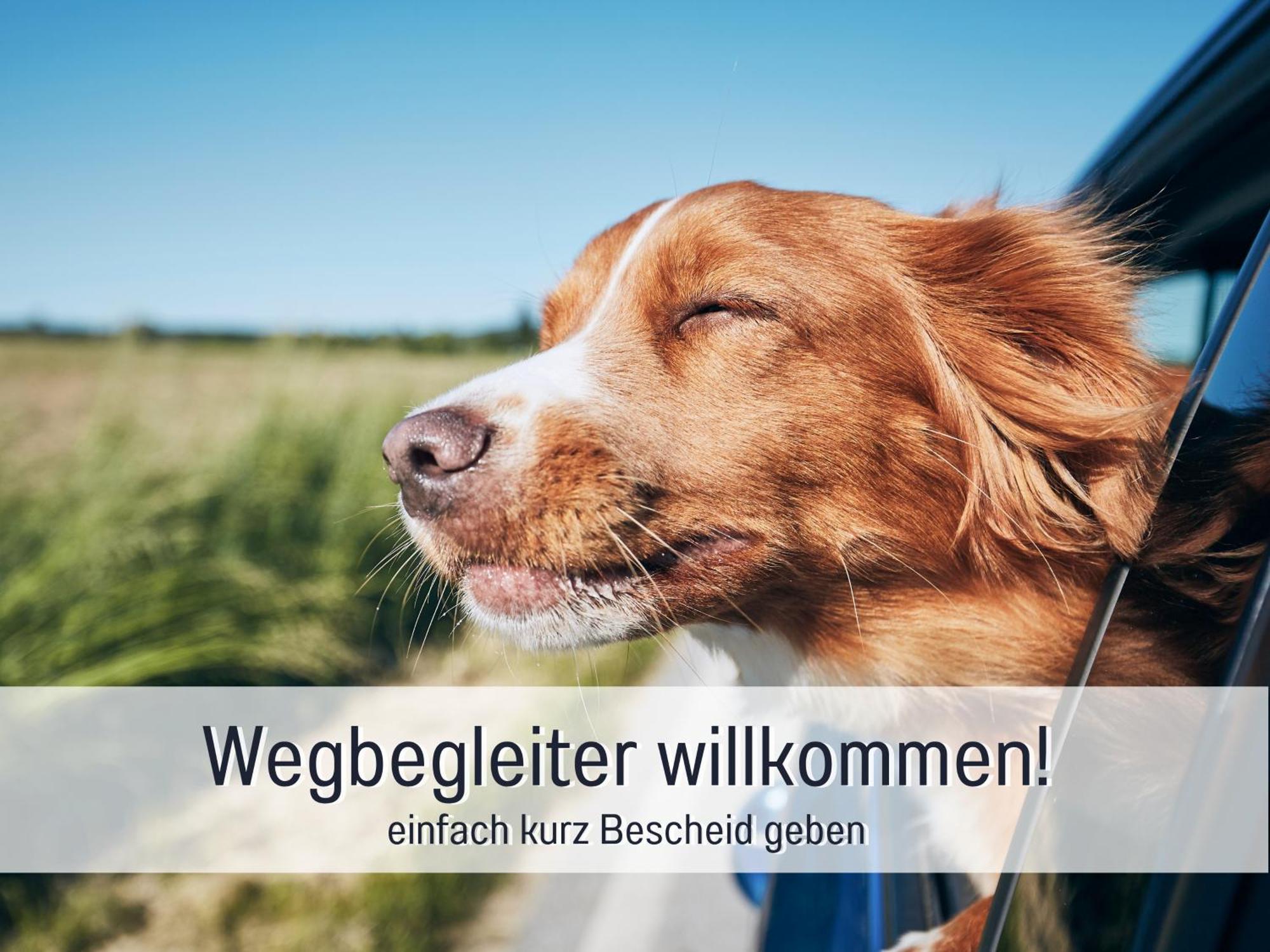 Stadtapartment By Live It - Voll Ausgestattete Kueche, Smarttv, Waschtrockner, 1-5 Pers Brandenburg  Ngoại thất bức ảnh
